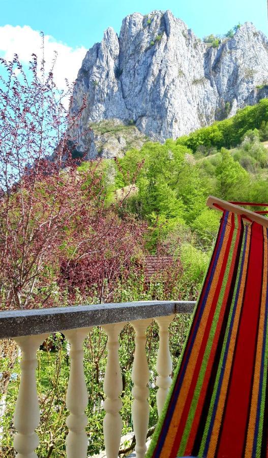 Casa Jax Hotel Remete Kültér fotó