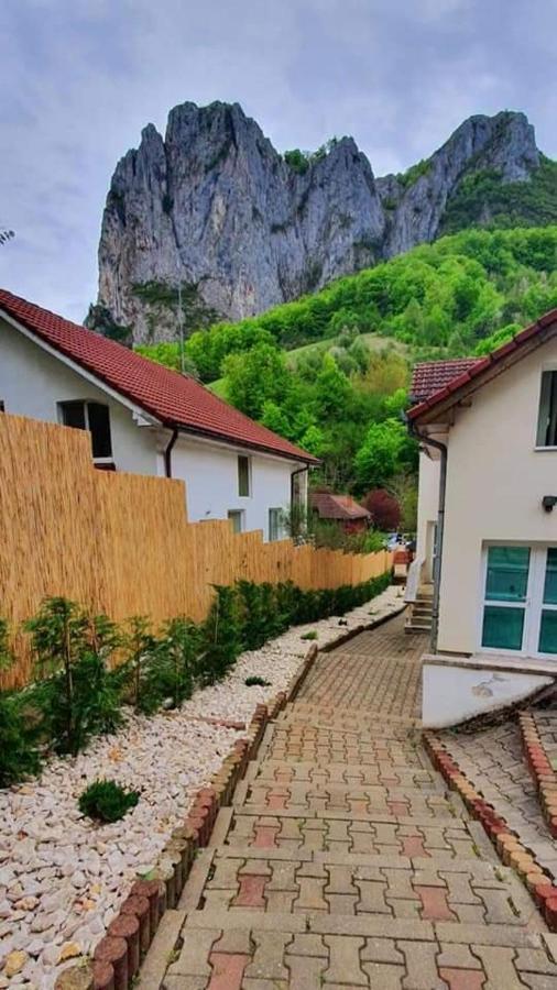 Casa Jax Hotel Remete Kültér fotó